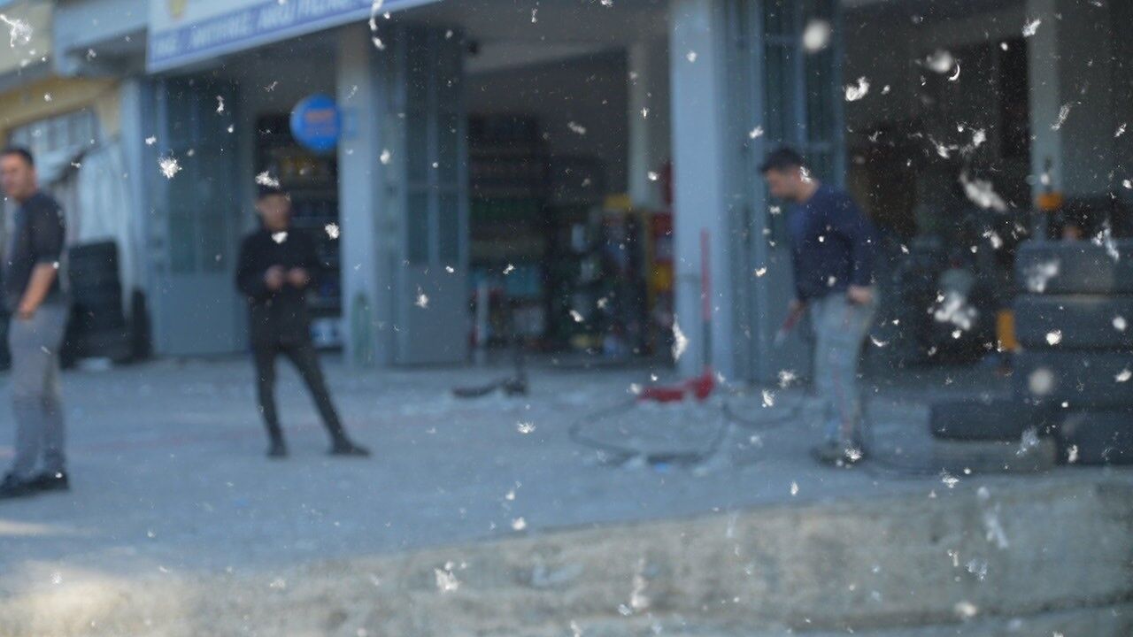 Muş'ta kavak polenleri esnafı olumsuz etkiliyor