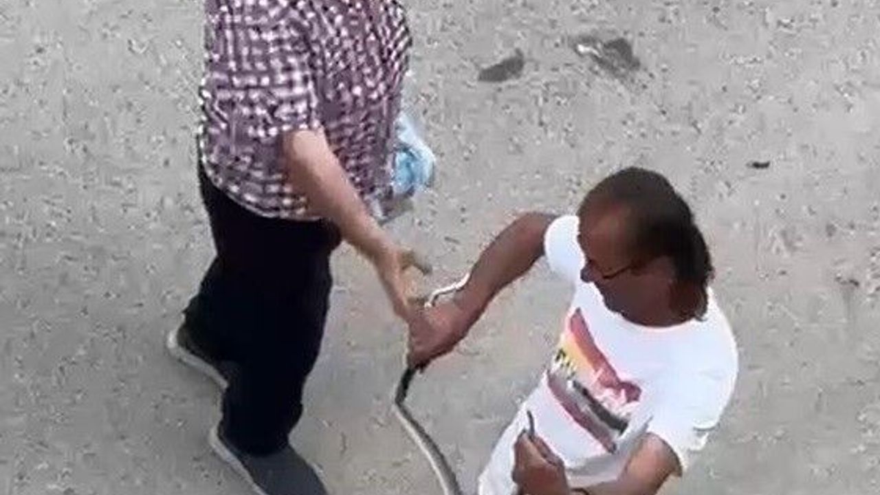 Paniğe sebep olan yılanı eliyle yakaladı