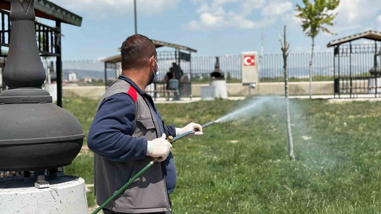Sincan Belediyesinden yaz aylarına özel ilaçlama