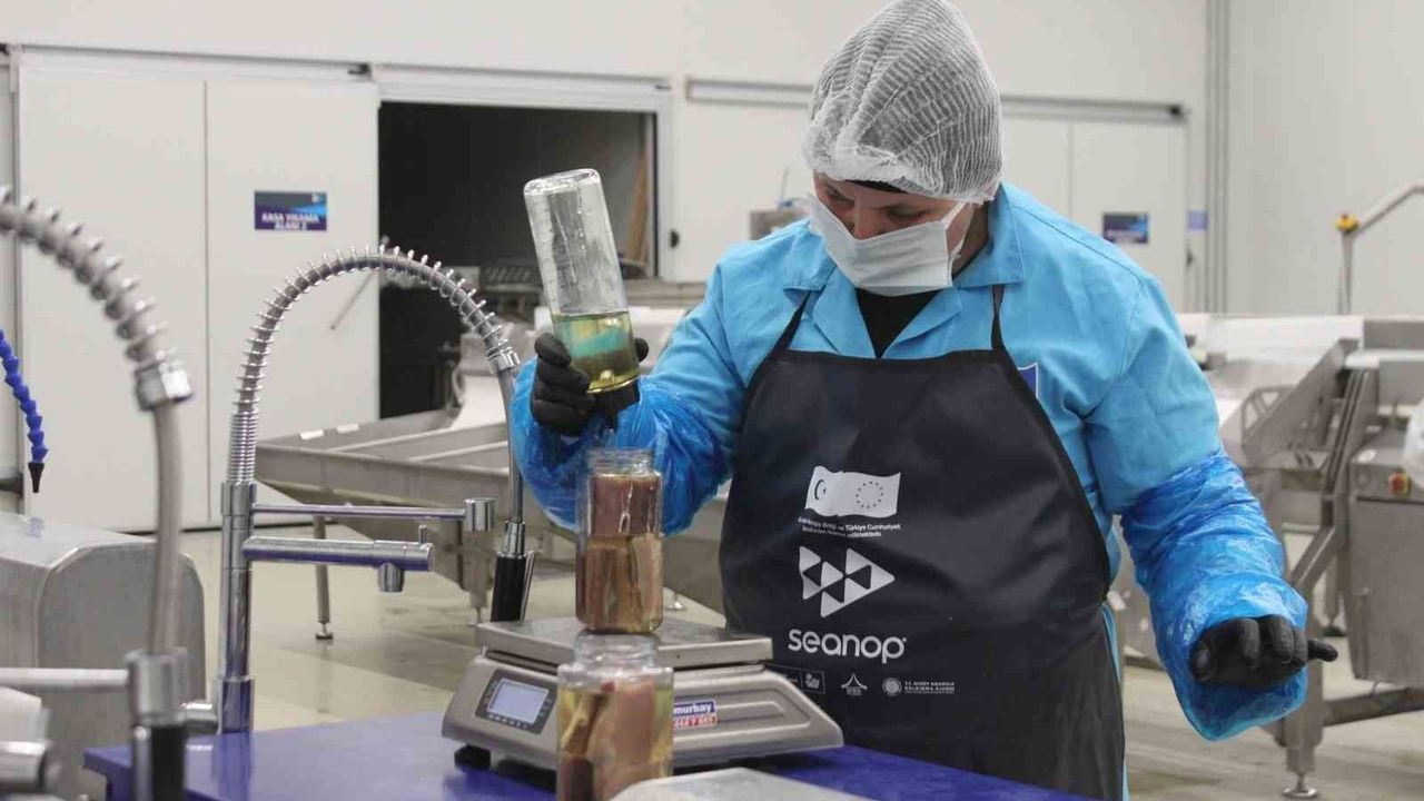 Sinop lakerdası kalkınmanın yeni markası olmaya hazırlanıyor
