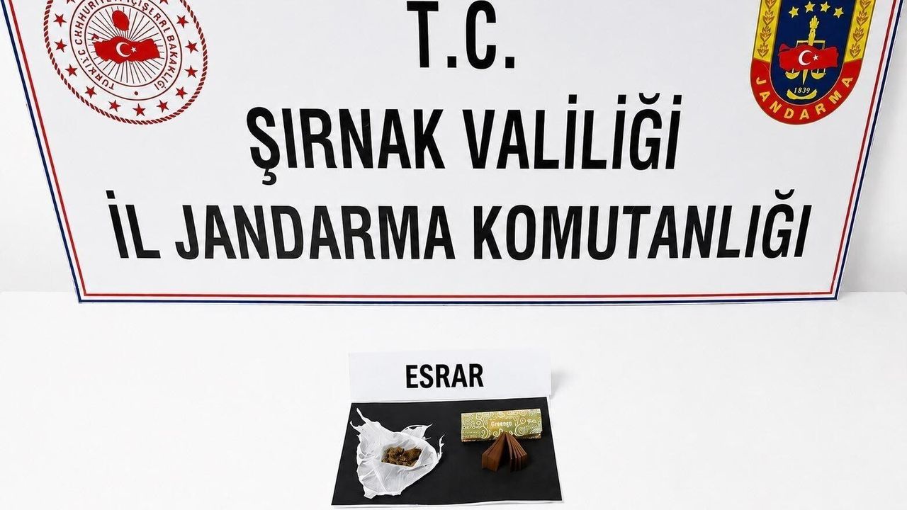 Şırnak'ta jandarma son 1 haftada 104 şüpheli hakkında işlem 