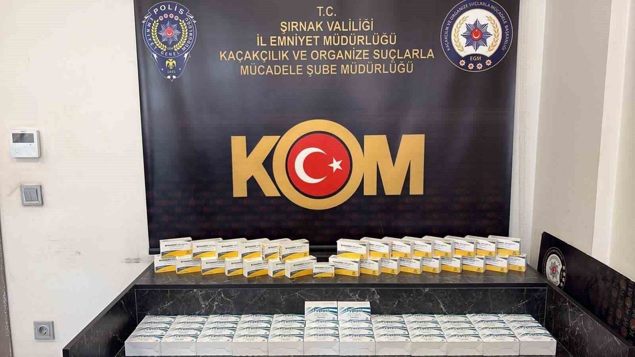 Şırnak'ta kaçak ilaç ve serum operasyonu: 2,5 milyon liralık tıbbi ürün ele geçirildi