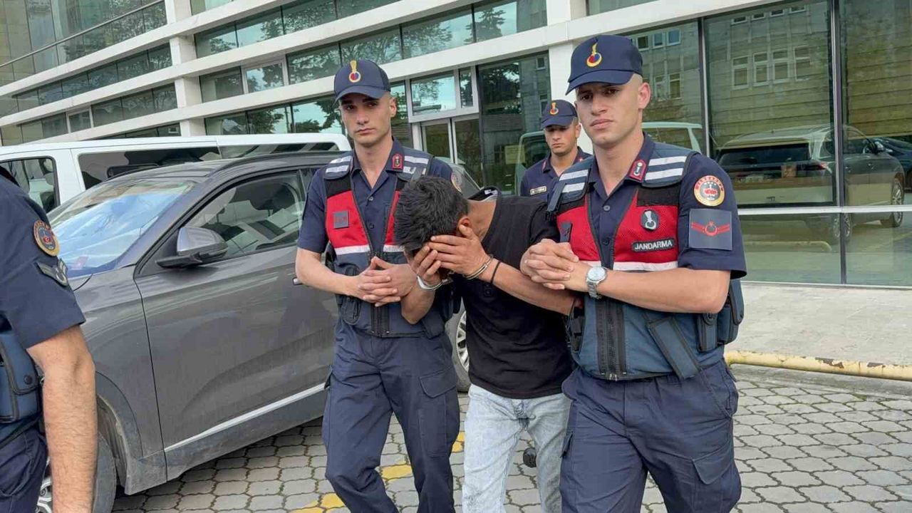 Televizyon hırsızlığı zanlısı, jandarma ekiplerince yakaland
