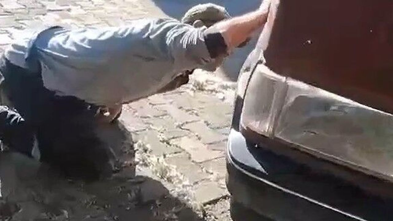 Tokat'ta aracın motor kısmına giren yılanı itfaiye ekipleri 