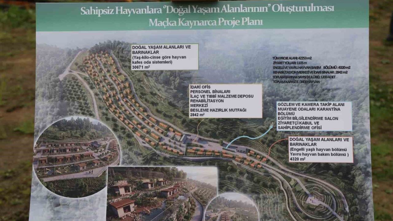 Trabzon'da sokak köpeklerine ev sahipliği yapacak yeni bir b