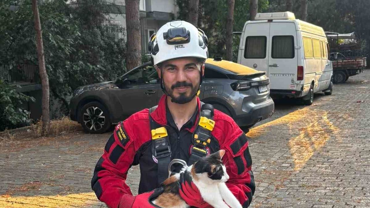 Üç gündür ağaçta mahsur kalan kedi kurtarıldı