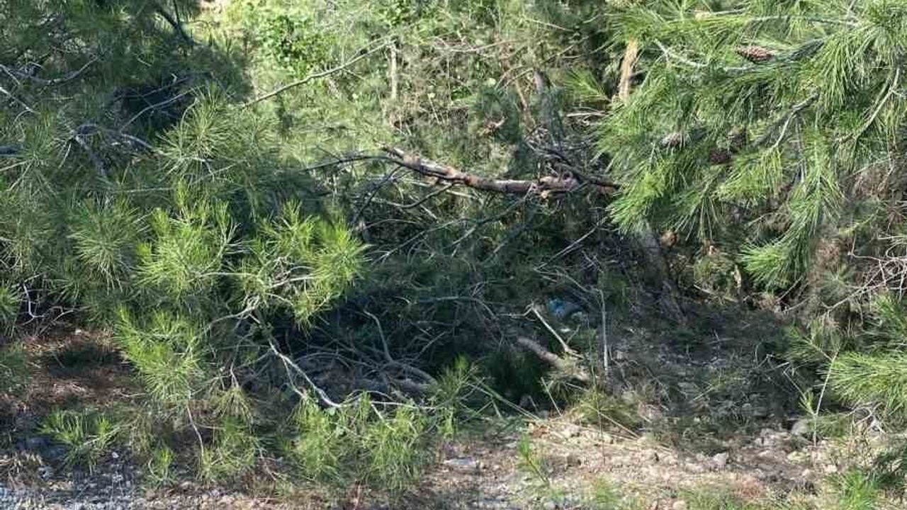 Uçuruma yuvarlanan traktör sürücüsü hayatını kaybetti