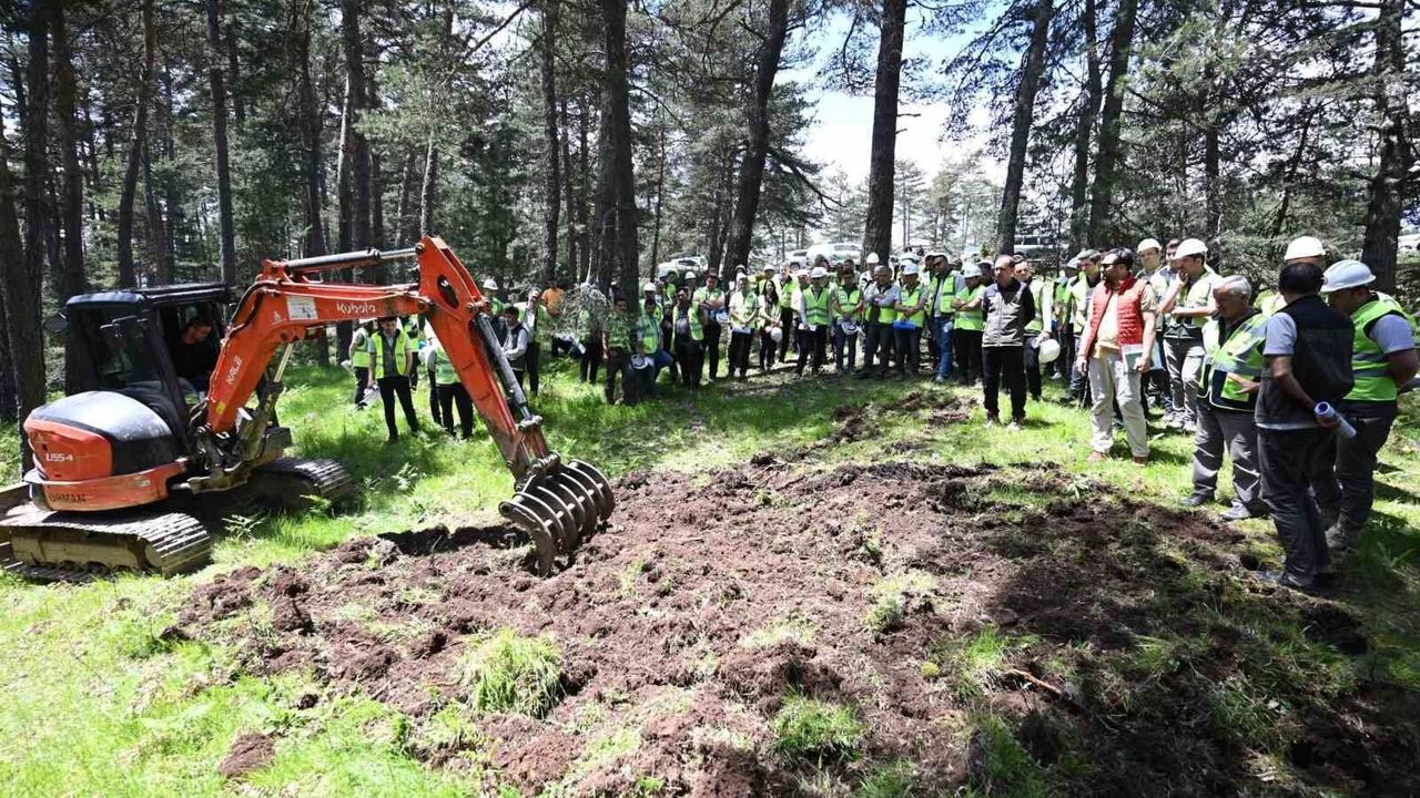 Vezirköprü'de orman personeline uygulamalı silvikültür eğiti