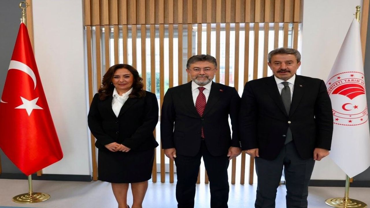 Şırnak'ta üretimden altyapıya yeni yatırım atağı