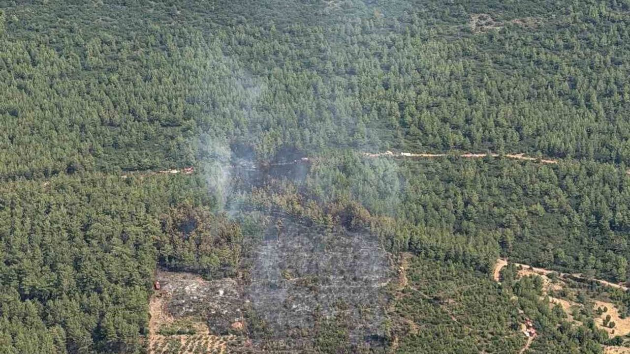 Yatağan'da korkutan zirai yangın kontrol altına alındı