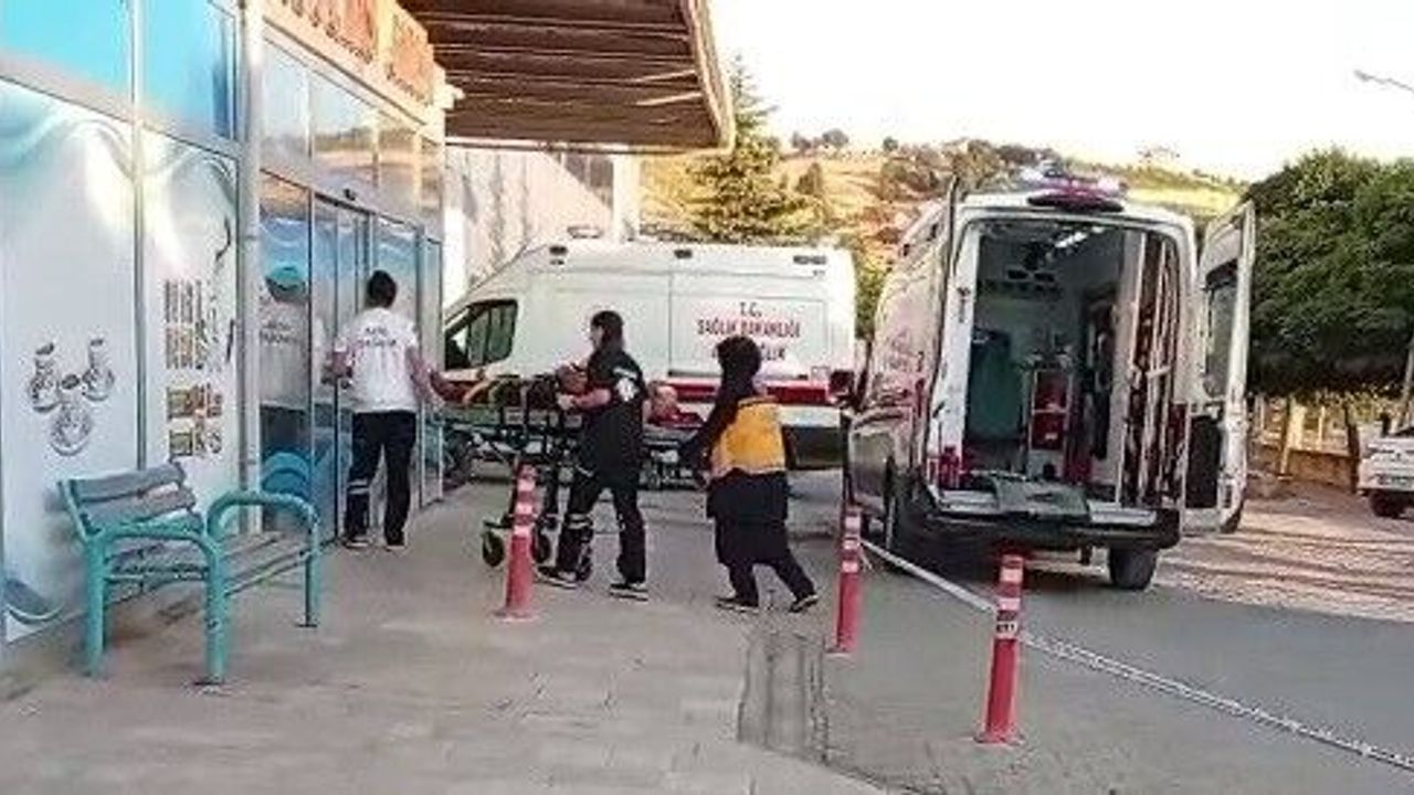Ceviz ağacından düşen kişi yaralandı
