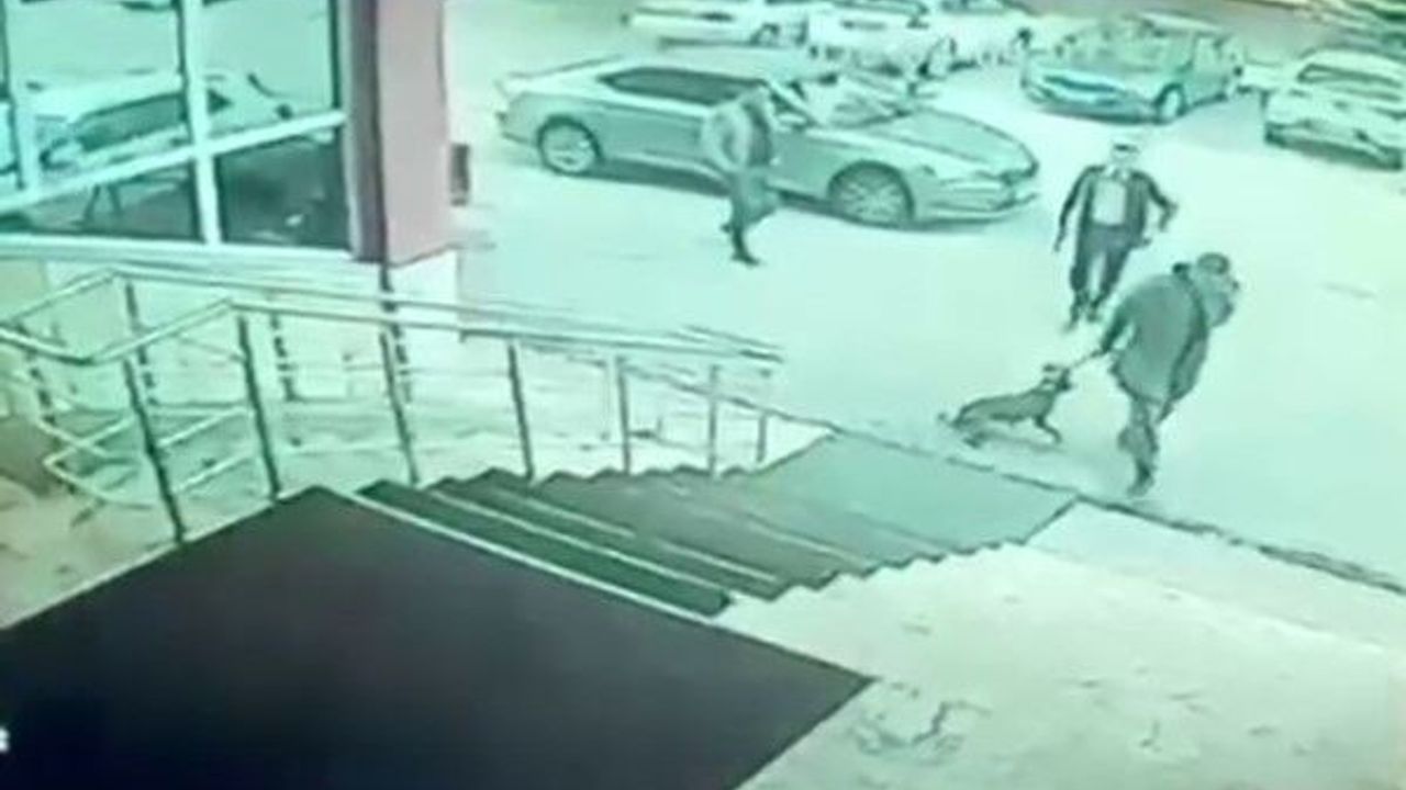 Palandöken Kaymakamı ve Korumasına İddialar Üzerine Soruşturma Açıldı