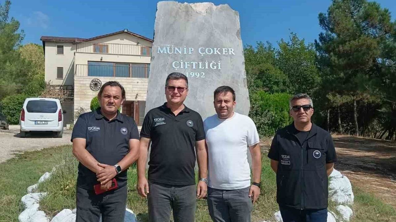 Koyunculuk Araştırma Enstitüsünden Manyasta üretici ziyaretleri