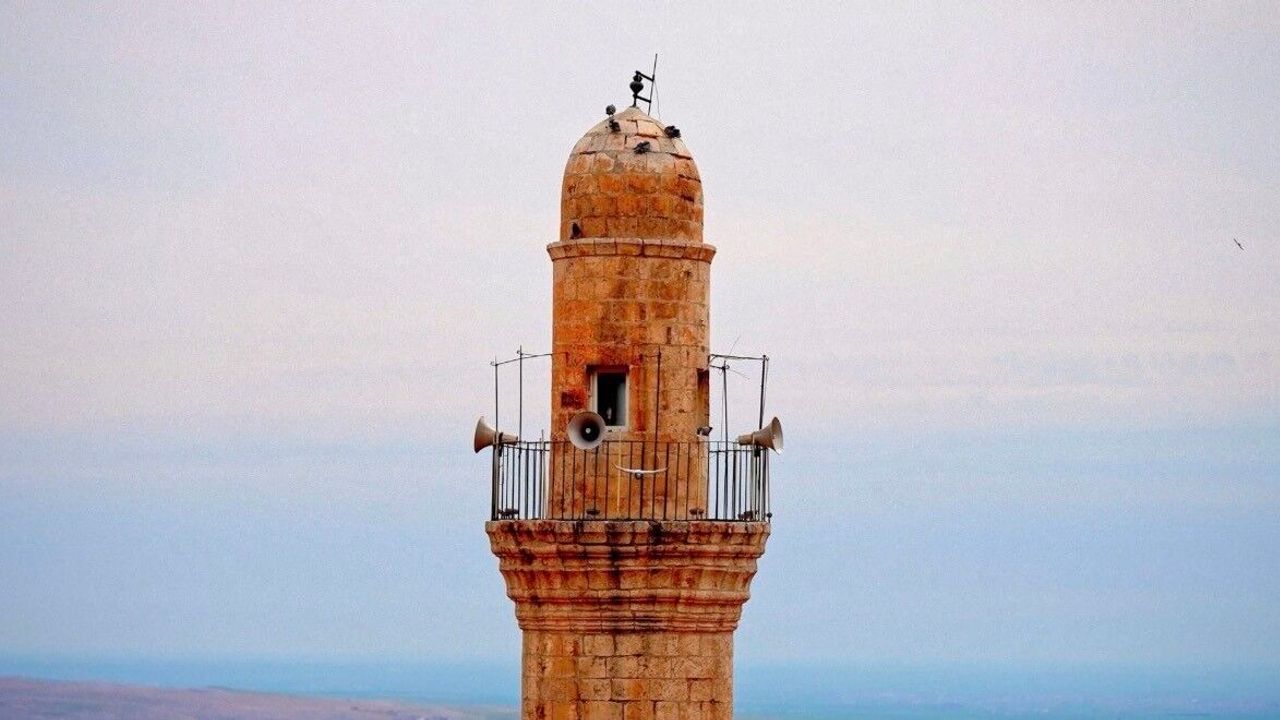Mardin'de İşaret Diliyle Türkü Söyleyerek Farkındalık Yaratıldı
