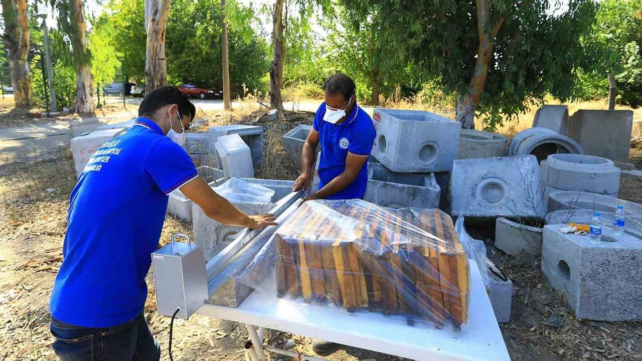 Türkiye’de İlk ve Tek: Büyükşehirden Arıcılığı Koruyan Proje