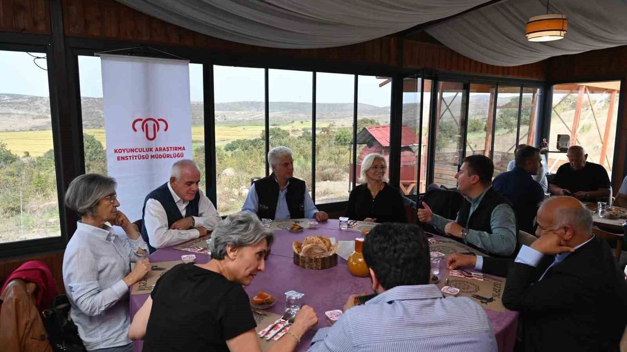 Bandırma'da kaz yetiştiriciliği çalıştayı tamamlandı