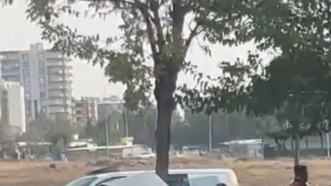 Siverek'te otomobil ağaca ok gibi saplandı: 3 yaralı