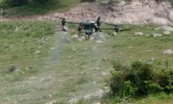 Manisa'da tarla çekirgelerine 'drone'lu mücadele