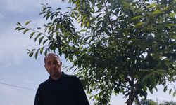 Dolu zararı kiraz üreticisinin belini büktü