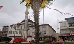İvrindi’de çiçekler açtı