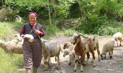 Merkezefendi’de kadın üreticiler sürülerini büyütüyor