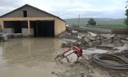 Muş’ta selde köprü yıkıldı, 5 araç ve 35 ev hasar gördü