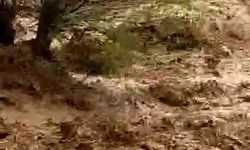 Tunceli’de dereler taştı