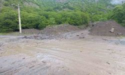 Tunceli’de sağanak yağış hayatı olumsuz etkiledi