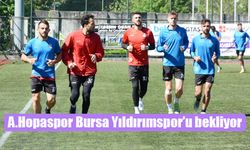 A.Hopaspor 33. haftada Bursa Yıldırımspor'u ağırlayacak