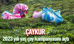 ÇAYKUR 2023 yılı yaş çay kampanyasını başlattı