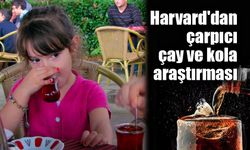 Harvard'dan çarpıcı çay ve kola araştırması!