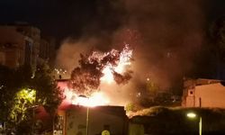 Bandırma’da otluk alanda çıkan yangın korkuttu