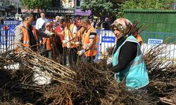 Isparta Belediyesinin dağıttığı fidan sayısı 72 bine ulaştı