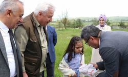 Öğrenciler hiç görmedikleri böcekleri aparatlarla topladı