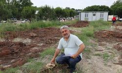Turgutlu’da çam ağaçlarının kesilmesine tepki