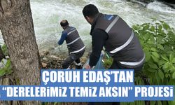 ÇORUH EDAŞ’tan Derelerimiz Temiz Aksın projesi