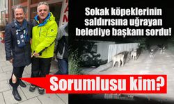 Sokak köpekleri bu kez belediye başkanına saldırdı!...