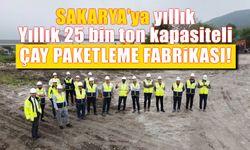 Sakarya'da çay paketleme fabrikası açılıyor!