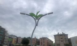 Rize Belediyesi'nden Sokak Lambalarındaki Kuşlara Çözüm