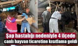 Şap hastalığı nedeniyle 4 ilçede canlı hayvan ticaretine kısıtlama geldi