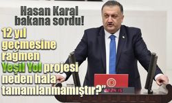 Hasan Karal Yeşil Yol'un akıbetini sordu.