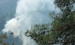 Adana’da orman yangınları kontrol altına alındı