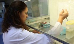 Akdeniz Üniversitesi, THE 2024 Dünya Üniversiteleri Sıralamasında ilk bin 200 üniversite arasında