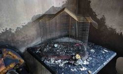 Diyarbakır’da ev yangını: Ev kullanılamaz hale geldi