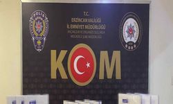 Erzincan’da 45 adet kaçak büyüme hormonu ile botoks iğnesi ele geçildi