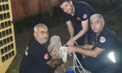 Foseptik çukuruna düşen koyunu itfaiye ekipleri kurtardı