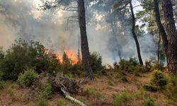 Gelibolu’da yıldırım düşmesi sonucu çıkan orman yangını kontrol altına alındı