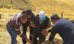 Hüyük’te koyun kurtarma operasyonu