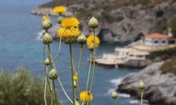 Kuşadası yeni bir turizm rotası daha kazandı