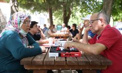 Merkezefendili büyüklere satranç, akıl ve zeka oyunları kursu
